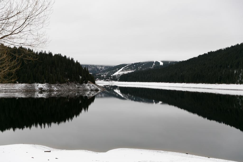 Willa Panorama Apuseni Beliş Zewnętrze zdjęcie