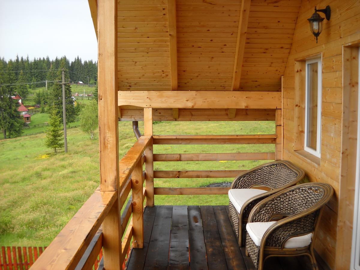 Willa Panorama Apuseni Beliş Zewnętrze zdjęcie